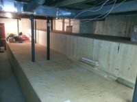 Floor Support in Basement